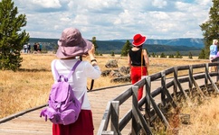 妻子的诱惑国语版全集